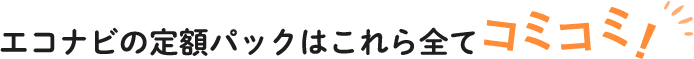 エコナビの定額パックはこれら全てコミコミ!